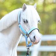 HVP Grime Nena - Powder Blue